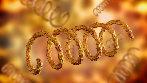 shutterstock_1550225945_800