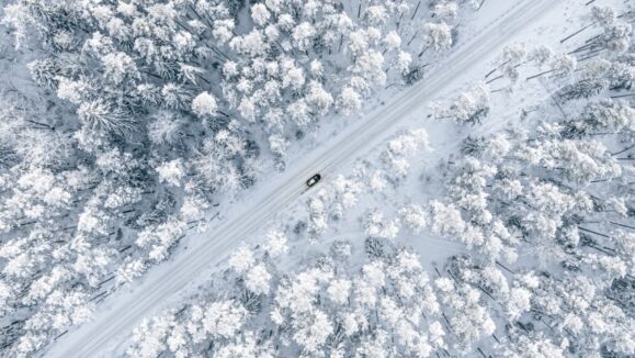 Forest in snow. Snowy forest road. Forest road from above