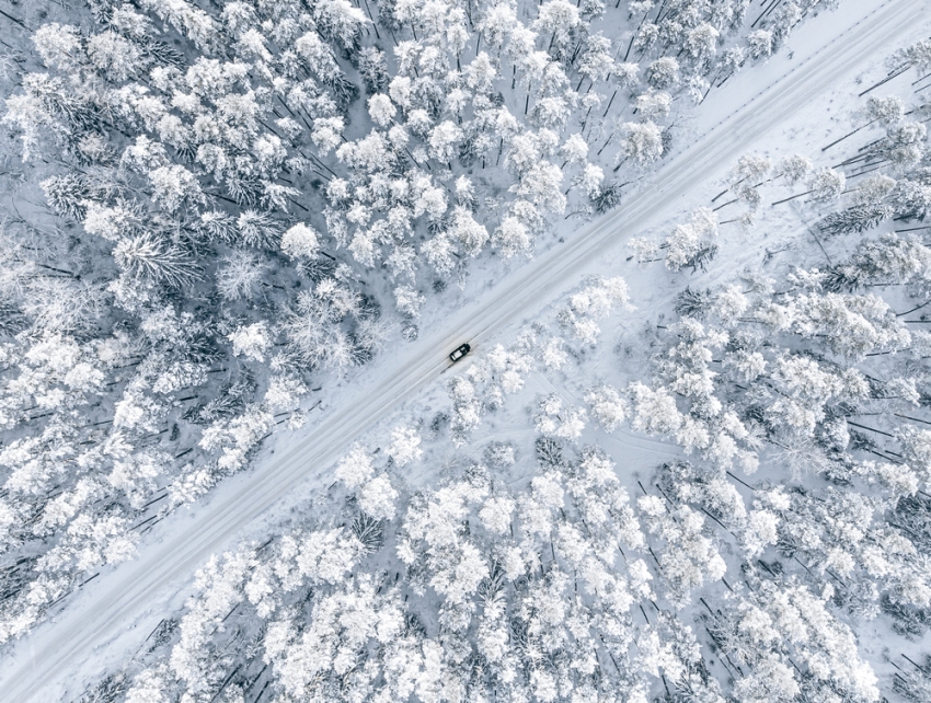 Forest in snow. Snowy forest road. Forest road from above