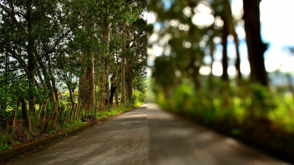 shutterstock_1898645458_1000