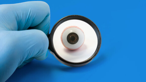 shutterstock_728231533_V2_800