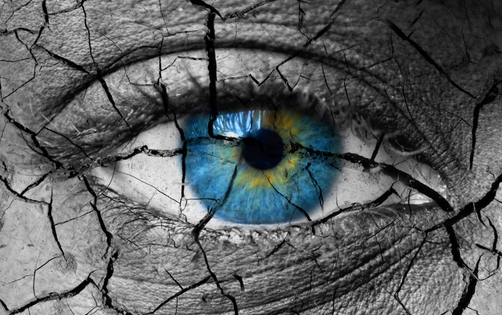 shutterstock_378263749