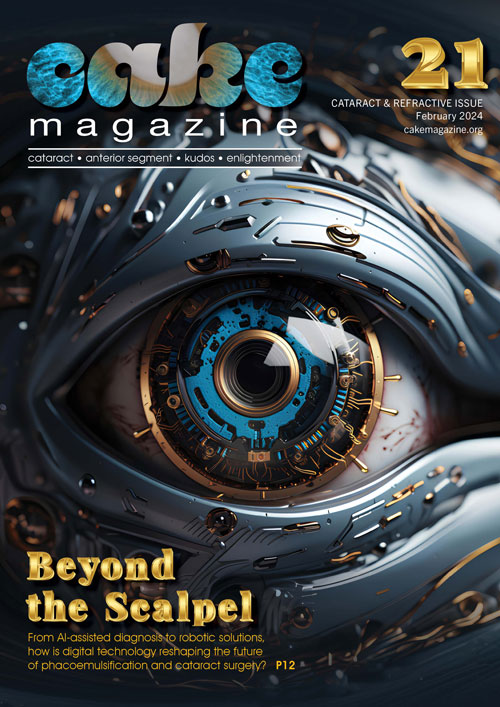 CAKE 21_V3_COVER_500