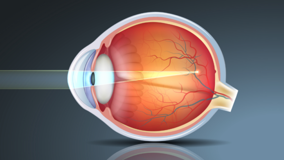 shutterstock_269606813 [Converted] 01