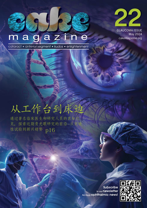 CAKE 22_CHINESE_V4_PRINT_COVER_500