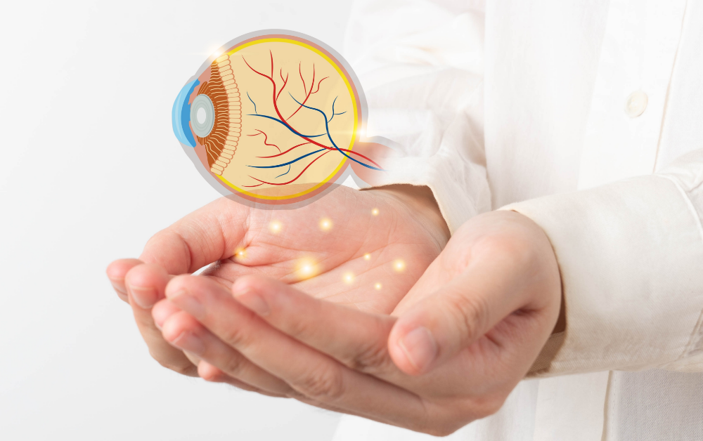 shutterstock_2517680915