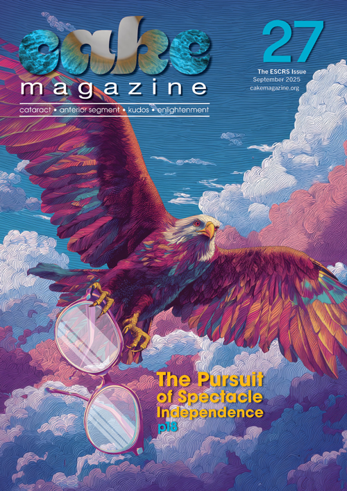 CAKE 27_V2_PRINT_COVER_500