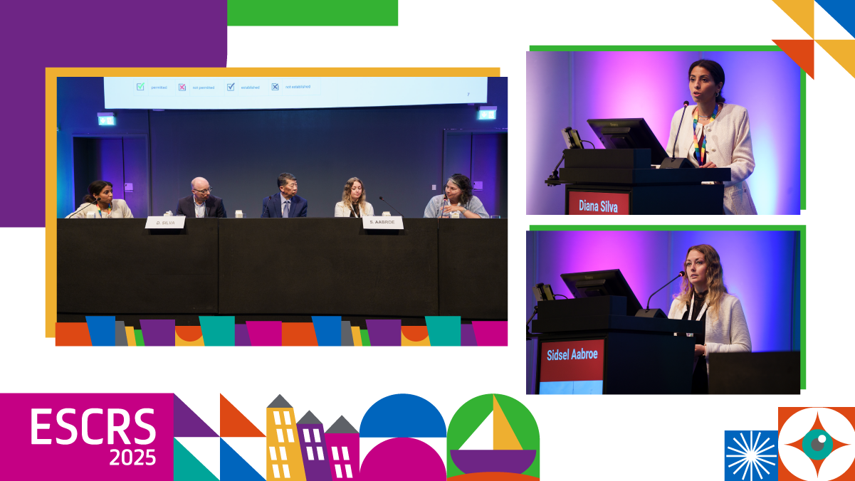 article thumb day 3.3